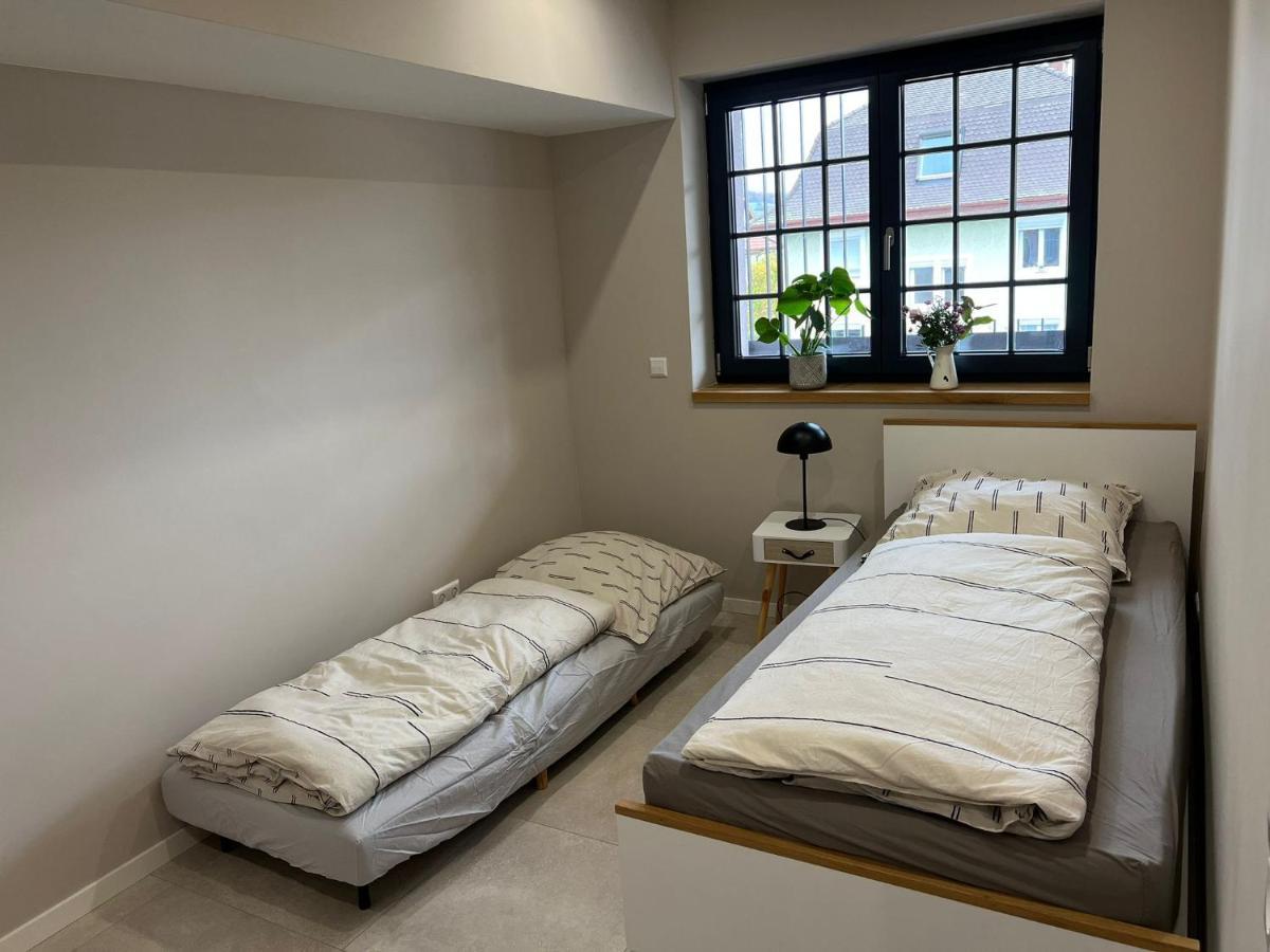 Neubau Im Loft-Stil Mit Grosser Terrasse Lorrach Exterior photo